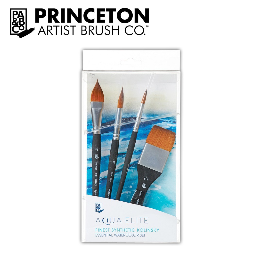 Aqua Elite Professional 4-Piece Set - Princeton Brush Company